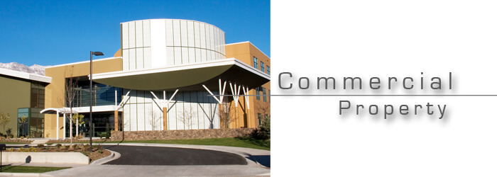 Commercial Property